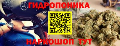 МДПВ Будённовск
