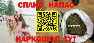 МДПВ Будённовск
