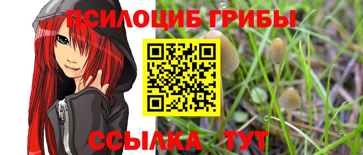 Псилоцибиновые грибы Cubensis Кушва
